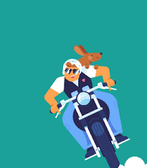 Bicycle insurance protects you against the cost of replacing or fixing your bike if it is damaged, vandalised or stolen. Motorcycle Insurance Get A Quote Online Progressive