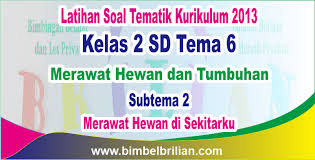 Soal Tematik Kelas 2 Sd Tema 6 Subtema 2 Merawat Hewan Di Sekitarku Dan Kunci Jawaban Bimbel Brilian