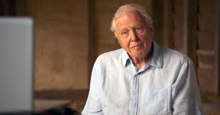 Do it for david attenborough and for. Sir David Attenborough Explains What He Thinks Needs To Happen To Save The Planet 60 Minutes Cbs News