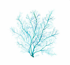 Blue Coral Sea Fan 4 Coral Painting Coral Art Print Coral Art