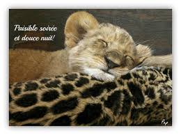 Résultat de recherche d'images pour "image bonne nuit neige"