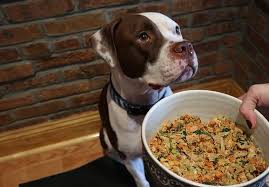 At The Halfway Mark Here Is What Our Dog And Us Think About Dog Food Delivery Company Nomnomnow