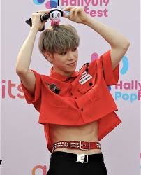 The Tummy Ace Mens Crop Top Crop Tops