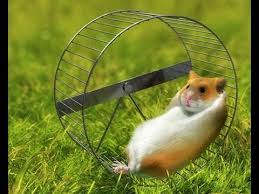 В деле о "вышках Бойко" идет следствие в отношении действующего нардепа, - Луценко - Цензор.НЕТ 811