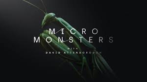 Seven years after the monsterpocalypse, joel dawson, along with the rest of humanity, has been living underground ever since giant creatures took control of the land. An Inside Look At Micro Monsters With David Attenborough