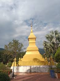 Image result for Bussea xylocarpa