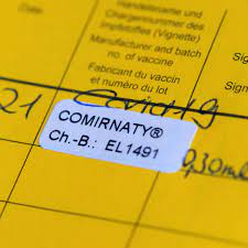 Digitaler impfpass soll anfang juni kommen. Digitaler Corona Impfpass Sap Und Telekom Sollen Eu Technik Aufbauen Verbraucher