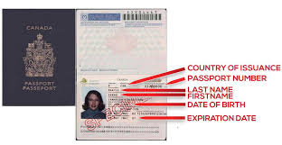 Permanent resident card number lookup. Https Www Masshealthmtf Org Sites Masshealthmtf Org Files Sample 20immigration 20doc 20final 20100314 Pdf