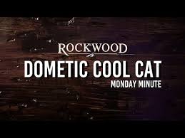 Since 2017, marine air has been a part of the dometic group. Monday Minute Dometic Cool Cat Youtube