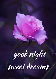 Good Night Sweet Dreams Good Night Flowers Lovely Good Night Good Night Love Images
