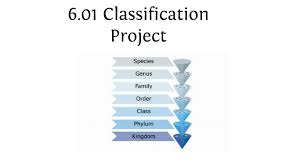 6 01 Classification Project By Amiah Robinson On Prezi