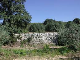 Huile D Olive De Coudoux Fabrication A L Ancienne Aoc Huile D Olive D Aix En Provence Culture