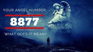 8877 Angel Number Meaning And Symbolism