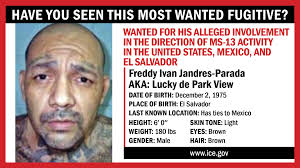 Archived: MS-13's highest-ranking leaders charged with terrorism offenses  in US