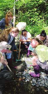 Vashon Partners in Education