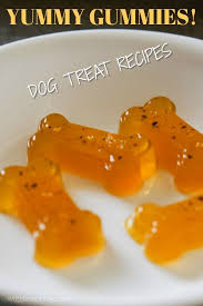 How fun is it to give our beloved dogs an extra special treat? Gummy Dog Treat Recipe Healthy Dog Treats Homemade Dog Biscuit Recipes Easy Dog Treats