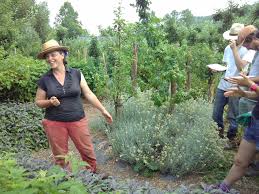 Cap sur la normandie à la découverte d'une ferme hors du commun à la renommée mondiale. The Making Of The Maker Farmers 3 Makery