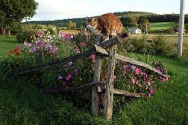Every time i drive by a house with a split rail fence i look for a horse running in the pasture beyond the fence. Corner Fence Garden Fence Landscaping Front Yard Landscaping Garden