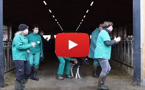 Nomcebo zikode / edit / single) by master kg; Jerusalema Dance Challenge Der Landwirte Gemeinsam Durchhalten Landesvereinigung Thuringer Milch E V