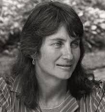 Property transfers, July 13, 2014