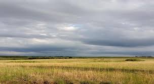 When wind developments conflict with wildlife and protected areas • Kansas  Reflector