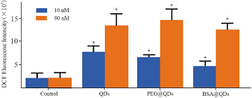 Modification of adenovirus gene transfer vectors with synthetic polymers: Study On Cytotoxicity Of Polyethylene Glycol And Albumin Bovine Serum Molecule Modified Quantum Dots Prepared By Hydrothermal Method Journal Of Materials Research Cambridge Core