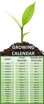 Growing Calendar When To Plant Your Vegetable Garden Indoor Vegetable Gardening Growing Calendar Vegetable Garden Planner