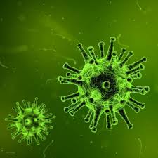 Challenge them to a trivia party! Virus Quiz Questions And Answers Free Online Printable Quiz Without Registration Download Pdf Multiple Choice Questions Mcq