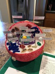 7th grade animal cell model project. Riley S 7th Grade Animal Cell Project We Used A Styrofoam Ball For The Cell With A Smaller Styrofoam Ball For Th Animal Cell Project Cells Project Animal Cell
