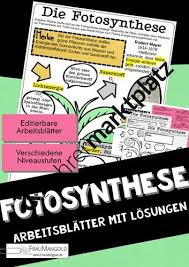 Fotosynthese Differenziertes Arbeitsblatt Zur Wiederholung Oder Sicherung Sketch Notes Unterrichtsmaterial Im Fach Biologie Arbeitsblatter Unterrichtsfacher Biologie