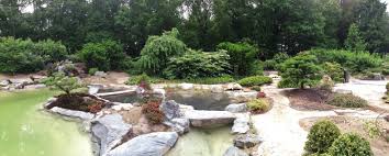 Ein spaziergang durch den asiatischen garten münzesheim. Asiatischer Garten Righini Garten Und Landschaftsbau