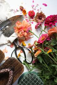 Giant dahlia mix zinnia quantity. Benary Giant Zinnias Are They Worth It The Kokoro Garden