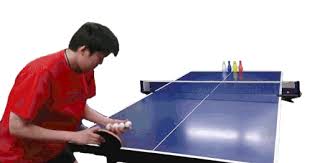 | funny table tennis gif joke picture two men playing table tennis ping pong. Trick Table Tennis Gif Trick Tabletennis Pingpong Discover Share Gifs