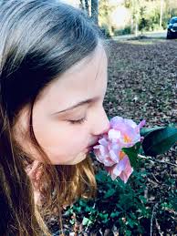 Louisiana State Scent