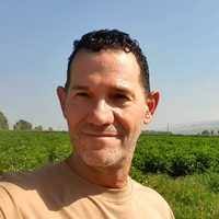 PDF) Effective chemical protection against the maize late wilt causal  agent, Harpophora maydis, in the field