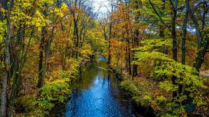 Hd 8k Amazing Landscape Picture Wallpaper Nature Desktop Landscape Pictures Digital Art Photography