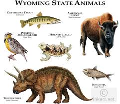 Maybe you would like to learn more about one of these? Wyoming State Animals Fine Art Illustration Of The Officia Flickr