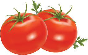 Image result for tomato