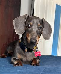 Aprovechando los ratitos de sol