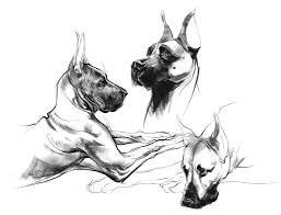 Great danes (complete pet owner's manual), publisher: 1024x0 Great Dane Coloring Pages 49 Free Printable Coloring Pages 13177 Jpg Coloring Home