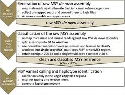 I find them in gen'l far easier on the draw, more flavourful, more satisfying. Frontiers A First Y Chromosomal Haplotype Network To Investigate Male Driven Population Dynamics In Domestic And Wild Bactrian Camels Genetics