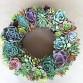 Succulent Wreath Workshop