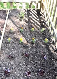 How to make stepping stones with a cake pan, how to keep your garden beautiful on a. A Simple Garden Can Still Be Full Of Good Food And Fun Ideas
