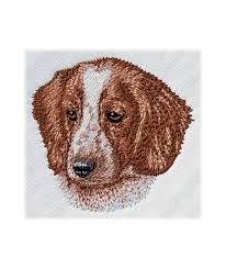 Image result for velššpringršpaněl