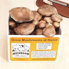 Low prices on millions of books. Portobello Mushroom Growing Kit