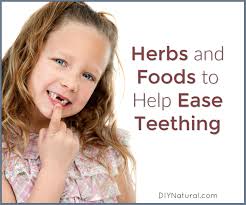 Teething Remedies: Herbs and Foods to Help Ease Teething