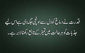  Sabaa Reality Quotes Wisdom Quotes Quotes From Novels