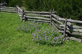 Therefore we will put some finishing touches on it that aren't necessary but make it look more expensive than it is. 75 Fence Designs Styles Patterns Tops Materials And Ideas Home Stratosphere