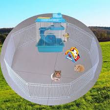 We did not find results for: Aihome Small Pet Fence Cage Free Activity Large Space Pet Playpen For Hamster Hedgehog Guinea Pig Walmart Canada