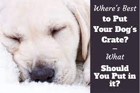 Because the best place to place the crate and begin crate training is in a high traffic area. What To Put In A Dog Crate Where To Put It How To Get It Prepared